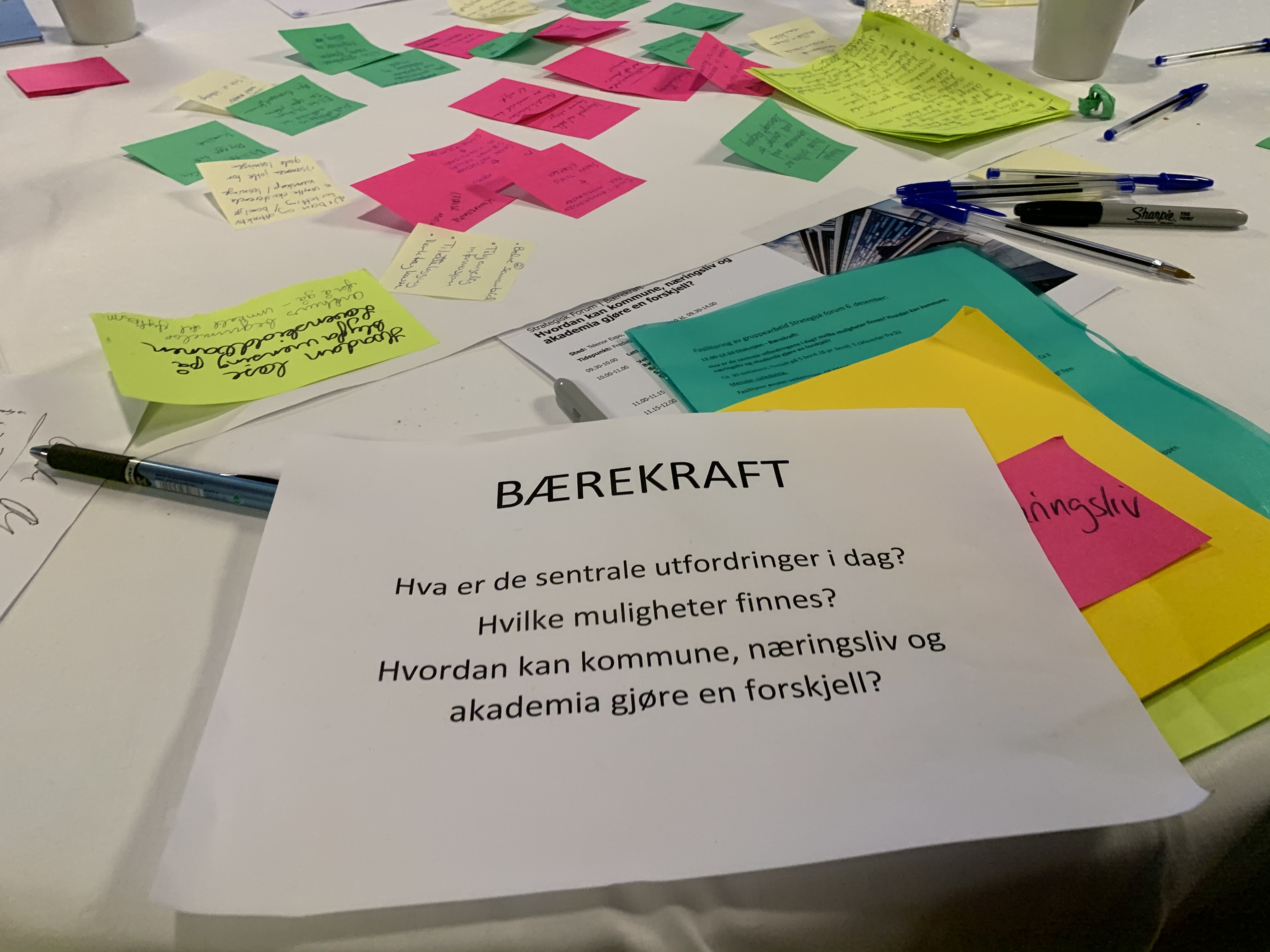 Bærekraft-Seminar